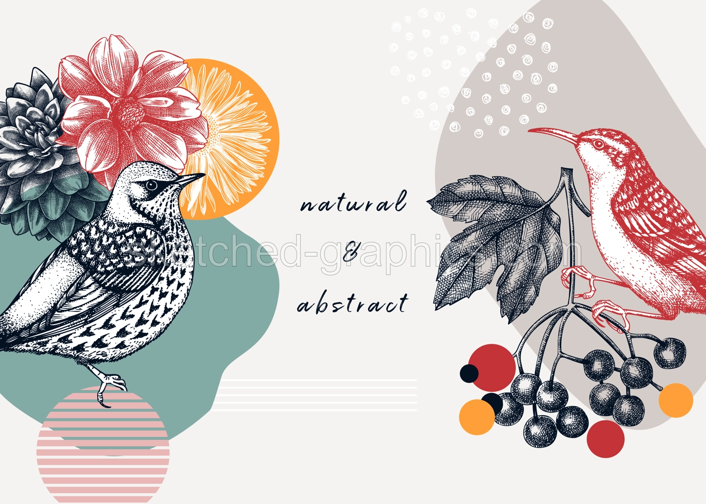 Collage style bird background. Sketched bird trendy frame. Creative background with botanical illustration, geometric shapes, and abstract elements. Perfect for print, wall art, packaging Illustration